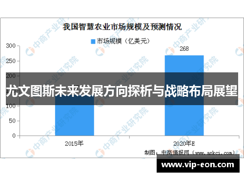 尤文图斯未来发展方向探析与战略布局展望