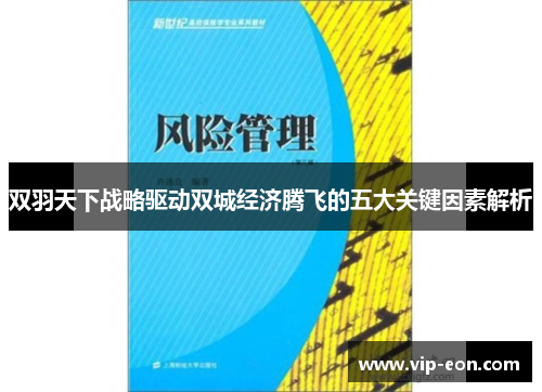 双羽天下战略驱动双城经济腾飞的五大关键因素解析